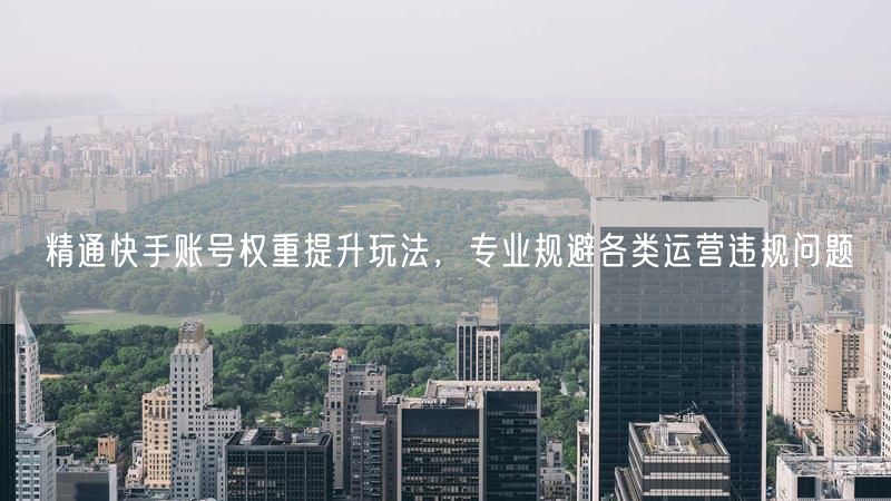 精通快手账号权重提升玩法，专业规避各类运营违规问题