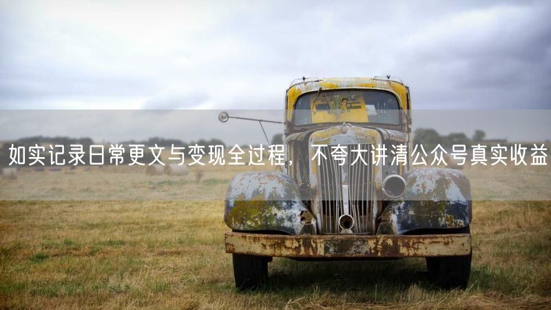 如实记录日常更文与变现全过程，不夸大讲清公众号真实收益