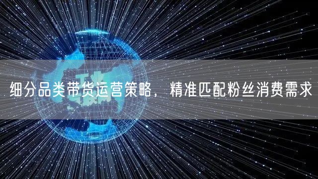 细分品类带货运营：精准匹配粉丝需求的消费策略