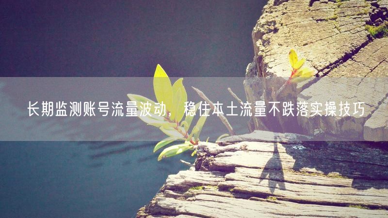 长期监测账号流量波动,稳住本土流量不跌落实操技巧