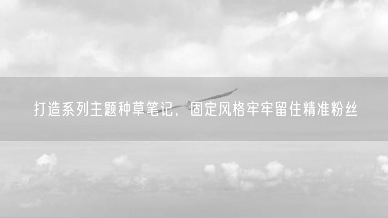 打造系列主题种草笔记，固定风格牢牢留住精准粉丝
