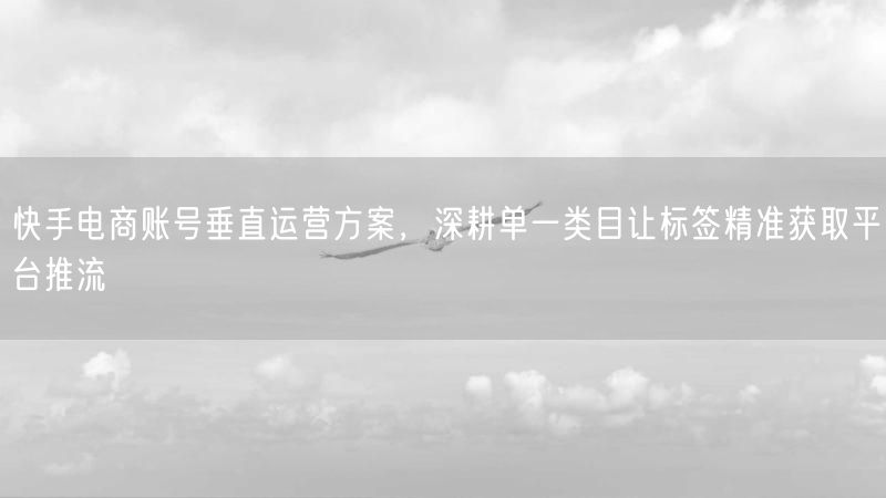 快手电商账号垂直运营方案,深耕单一类目让标签精准获取平台推流