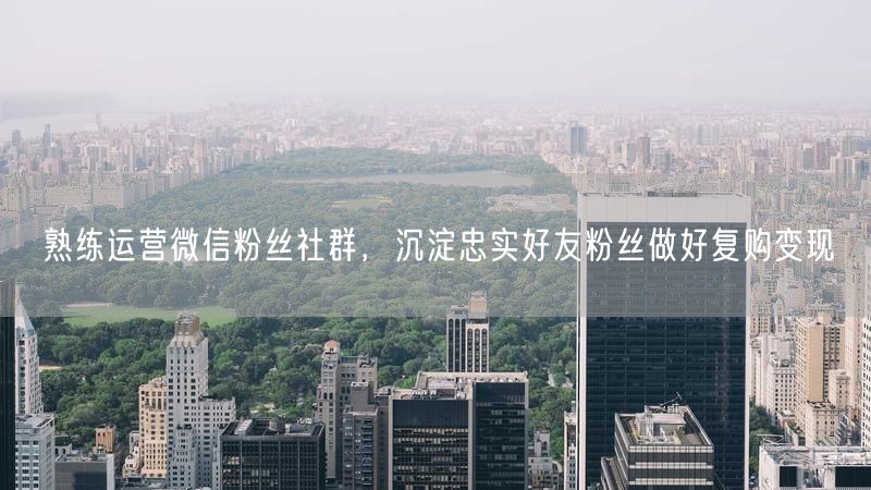 熟练运营微信粉丝社群,沉淀忠实好友粉丝做好复购变现