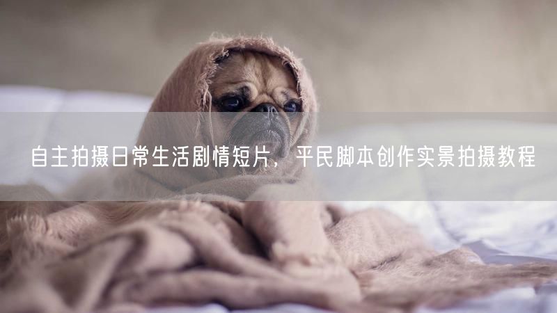 自主拍摄日常生活剧情短片,平民脚本创作实景拍摄教程