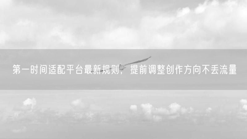 第一时间适配平台最新规则，提前调整创作方向不丢流量
