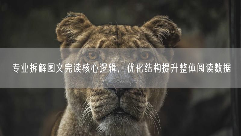 专业拆解图文完读核心逻辑，优化结构提升整体阅读数据