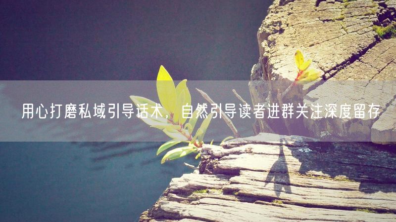 用心打磨私域引导话术，自然引导读者进群关注深度留存