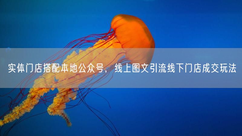 实体门店搭配本地公众号,线上图文引流线下门店成交玩法