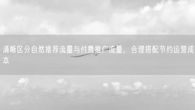 清晰区分自然推荐流量与付费推广流量，合理搭配节约运营成本