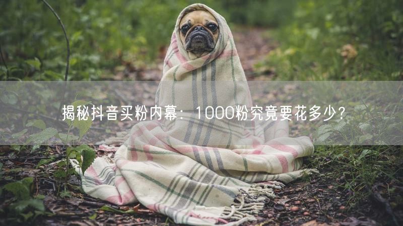 揭秘抖音买粉内幕:1000粉究竟要花多少?