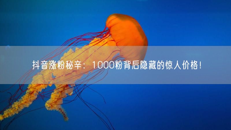 抖音涨粉秘辛：1000粉背后隐藏的惊人价格！
