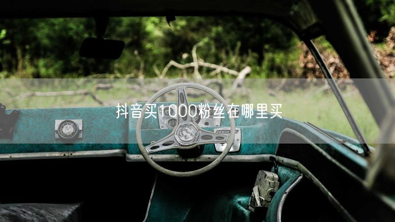 抖音买1000粉丝在哪里买