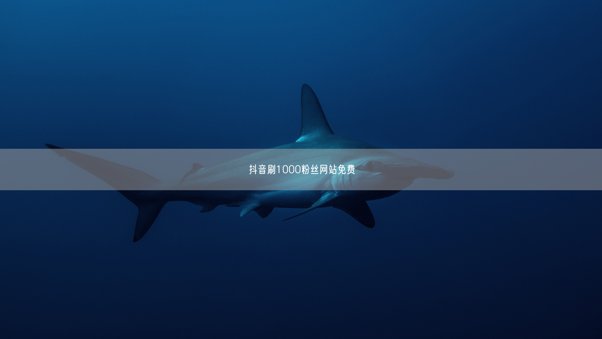 抖音刷1000粉丝网站免费