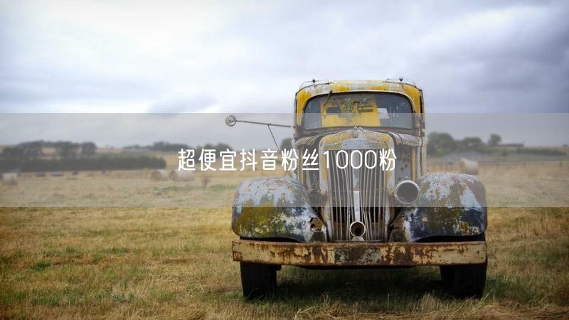 揭秘！超便宜抖音增粉，快速get1000粉攻略