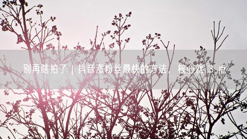 别再瞎拍了｜抖音涨粉丝最快的方法，核心就 3 点