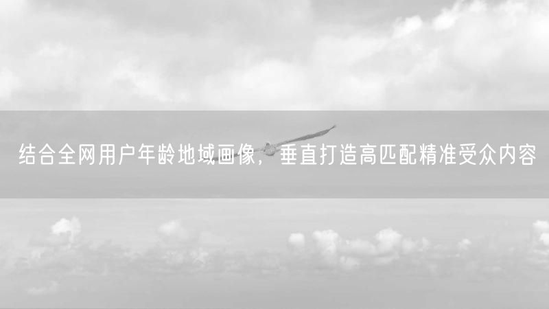 结合全网用户年龄地域画像,垂直打造高匹配精准受众内容