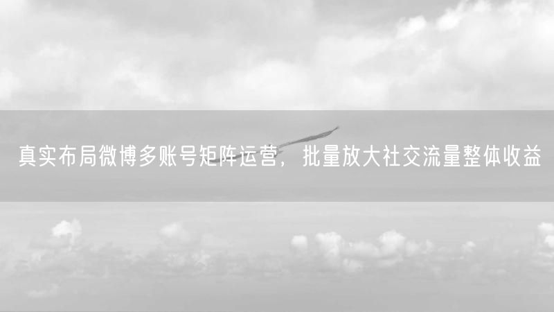 真实布局微博多账号矩阵运营,批量放大社交流量整体收益