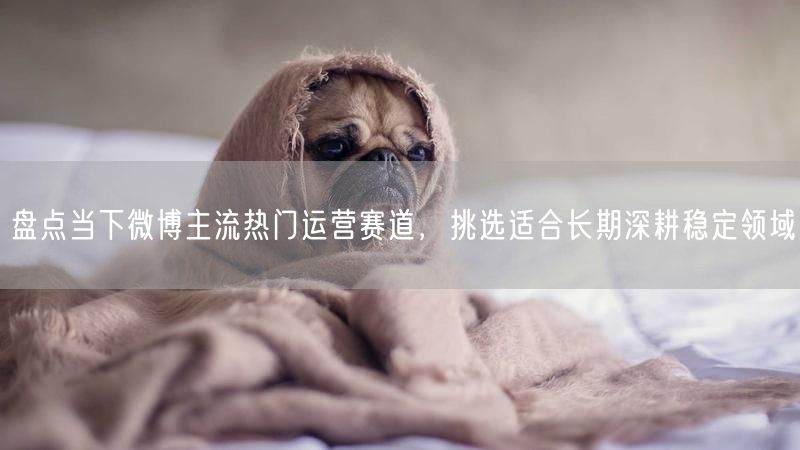 盘点当下微博主流热门运营赛道，挑选适合长期深耕稳定领域