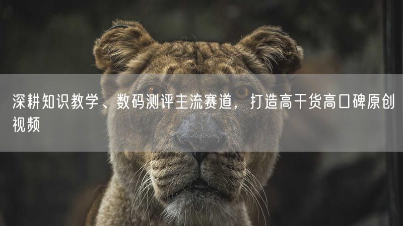 深耕知识教学、数码测评主流赛道，打造高干货高口碑原创视频