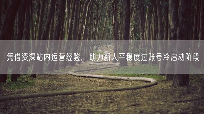 凭借资深站内运营经验，助力新人平稳度过账号冷启动阶段