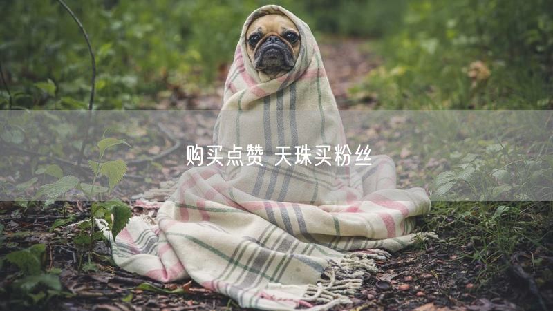 购买点赞 天珠买粉丝
