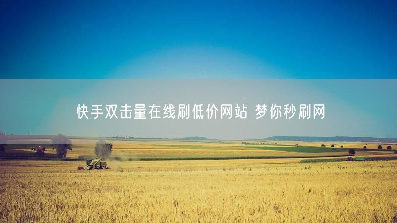 快手双击量在线刷低价网站 梦你秒刷网