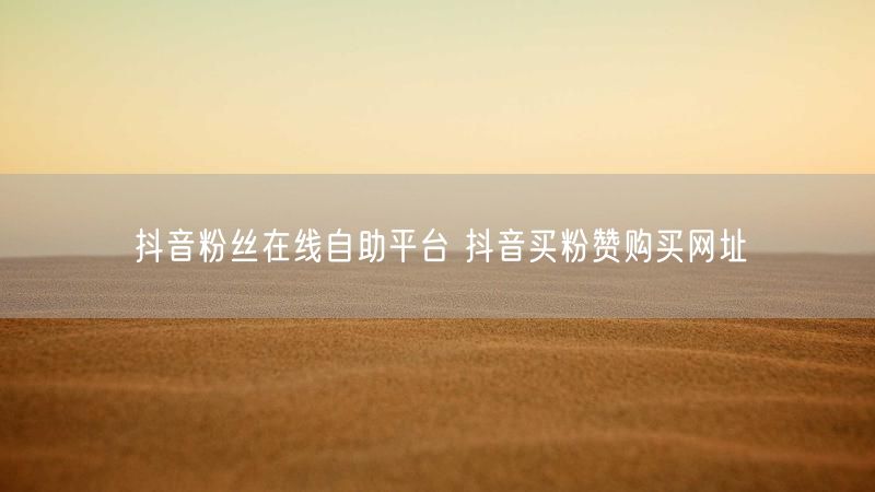 抖音粉丝在线自助平台 抖音买粉赞购买网址