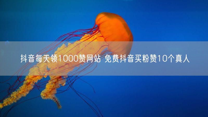 抖音每天领1000赞网站 免费抖音买粉赞10个真人