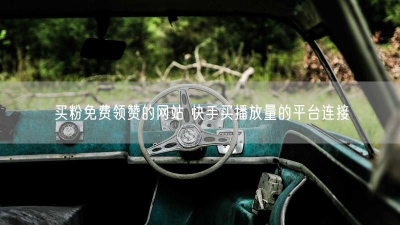 买粉免费领赞的网站 快手买播放量的平台连接
