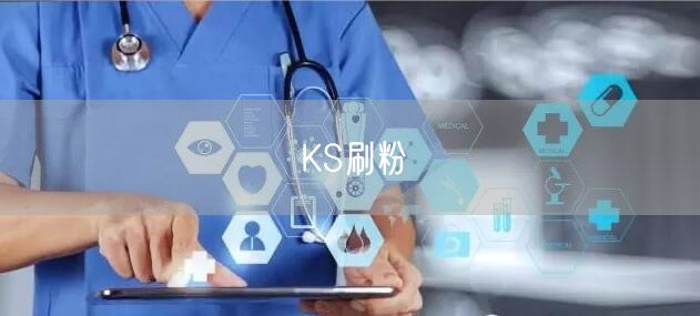 KS刷粉