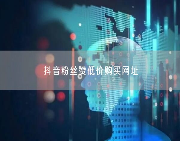 抖音粉丝赞低价购买网址