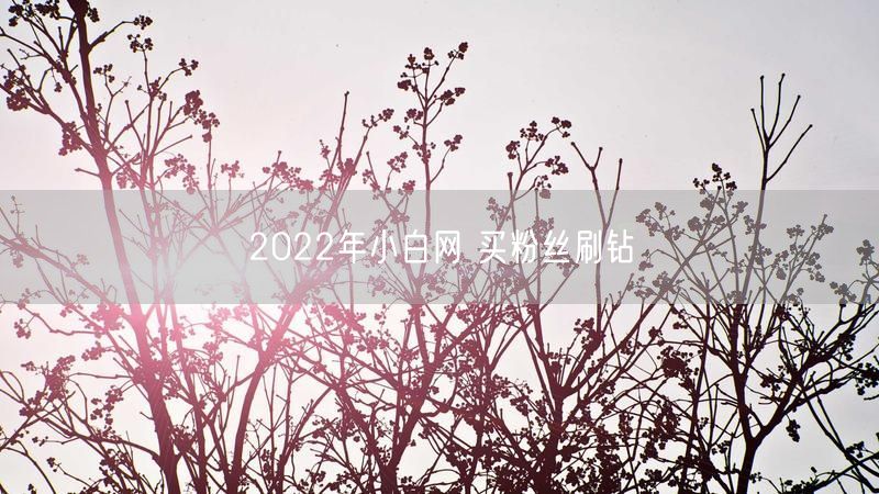 2022年小白网 买粉丝刷钻