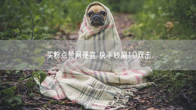 买粉点赞网便宜 快手秒刷10双击