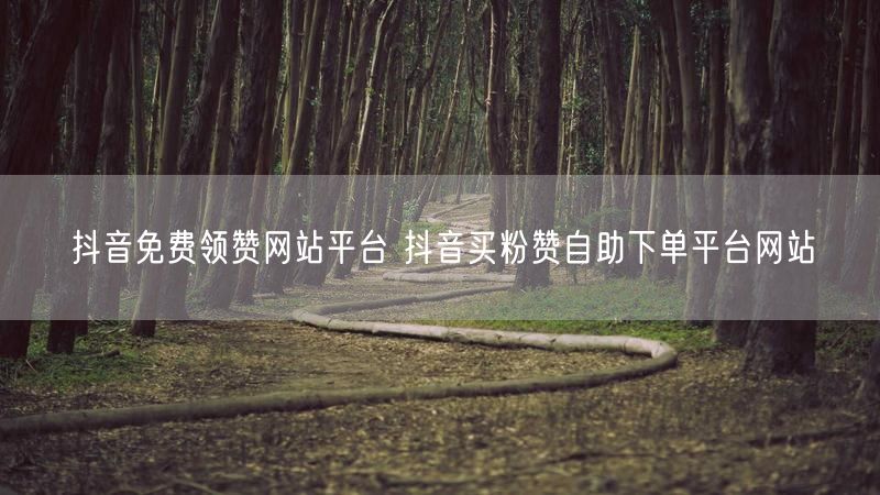 抖音免费领赞网站平台 抖音买粉赞自助下单平台网站