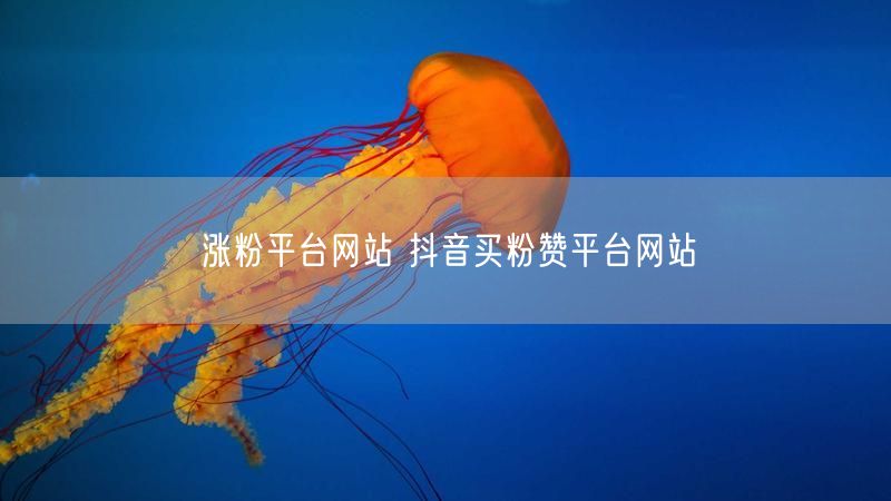 涨粉平台网站 抖音买粉赞平台网站