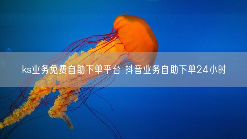 ks业务免费自助下单平台 抖音业务自助下单24小时