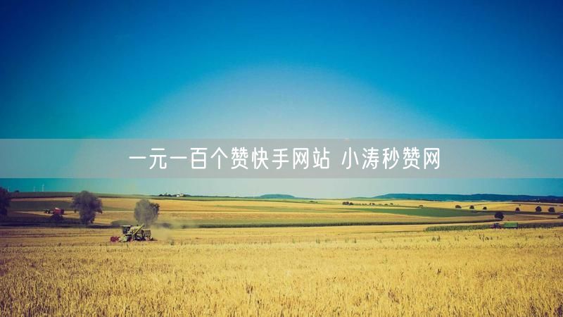 一元一百个赞快手网站 小涛秒赞网