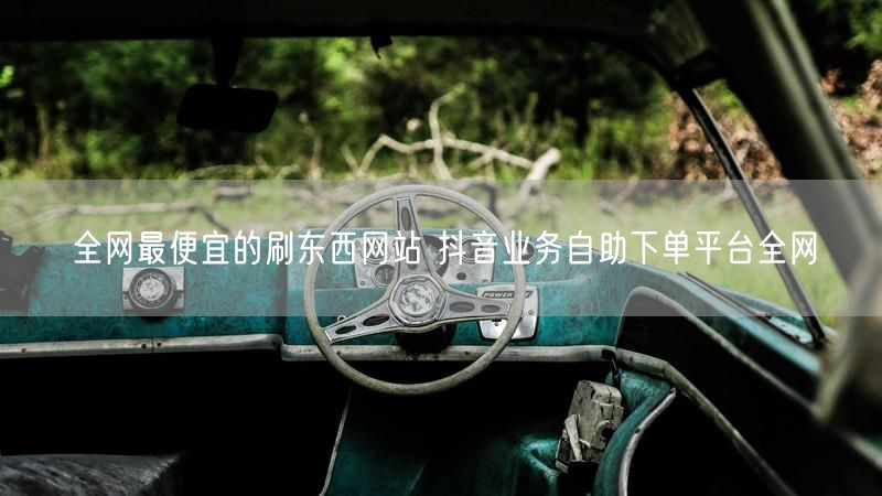 全网最便宜的刷东西网站 抖音业务自助下单平台全网