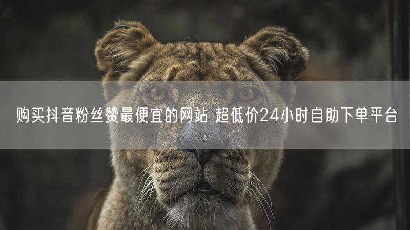购买抖音粉丝赞最便宜的网站 超低价24小时自助下单平台