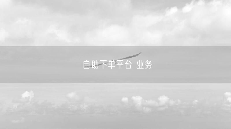 自助下单平台 业务