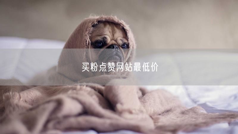 买粉点赞网站最低价