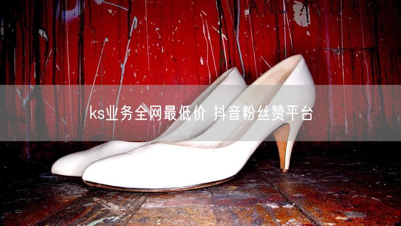 ks业务全网最低价 抖音粉丝赞平台