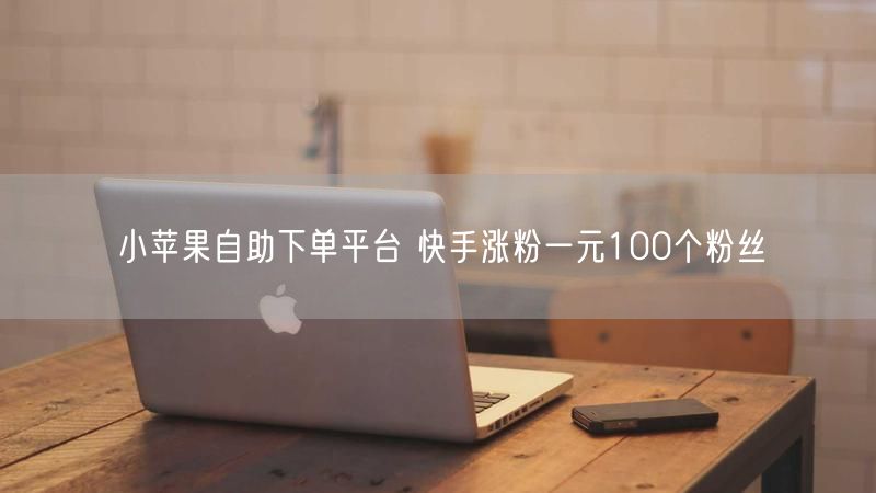 小苹果自助下单平台 快手涨粉一元100个粉丝