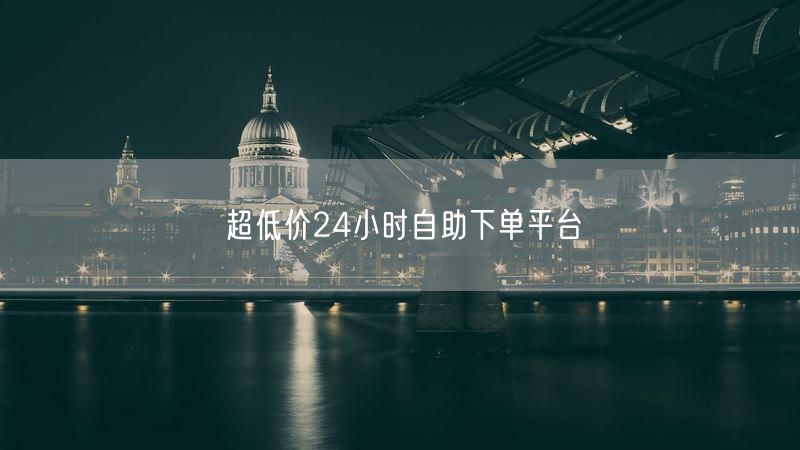 超低价24小时自助下单平台