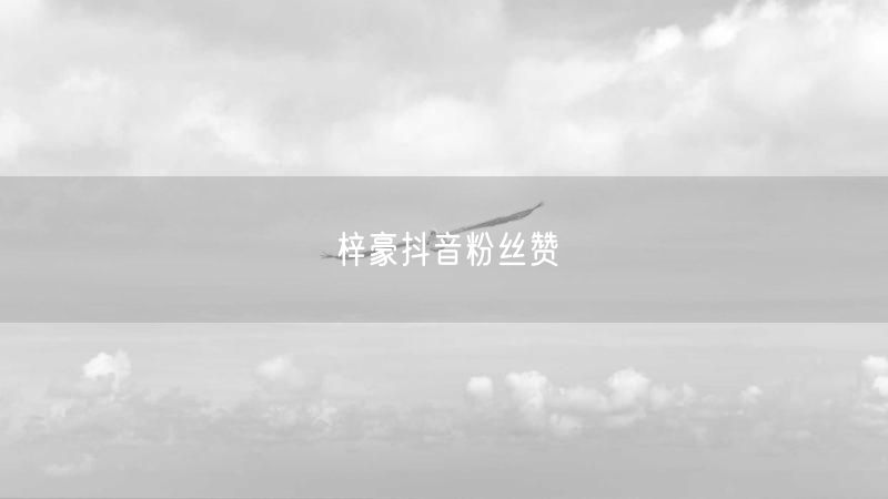 梓豪抖音粉丝赞