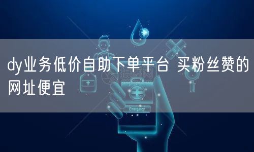 dy业务低价自助下单平台 买粉丝赞的网址便宜