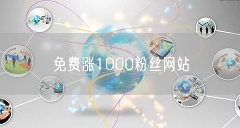 免费涨1000粉丝网站