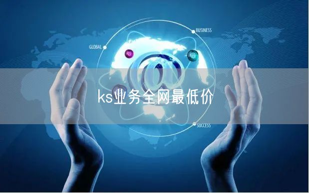 ks业务全网最低价
