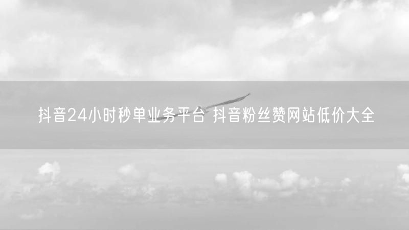 抖音24小时秒单业务平台 抖音粉丝赞网站低价大全