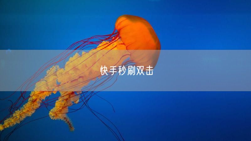 快手秒刷双击